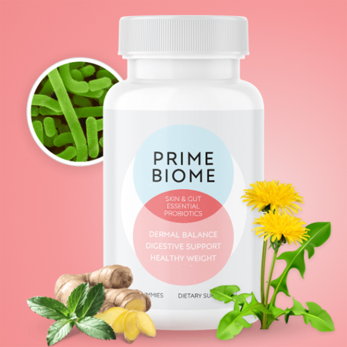 PrimeBiome bottle